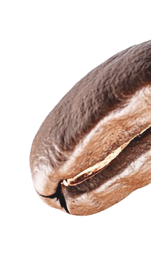 right-leaf