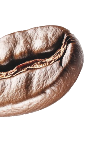 l-leaf